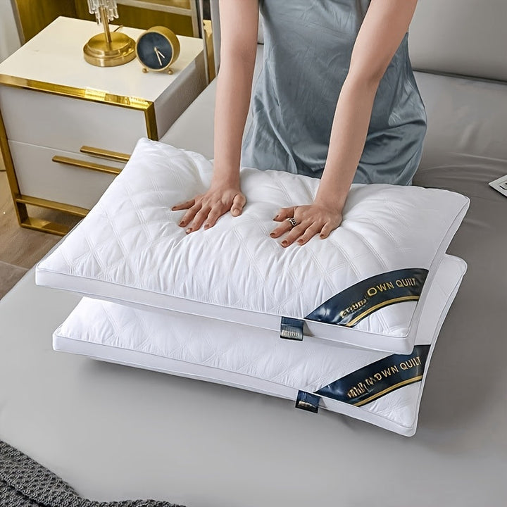 Hotel Comfort Pillow Set - 2 Hypoallergenic 3D Pillows