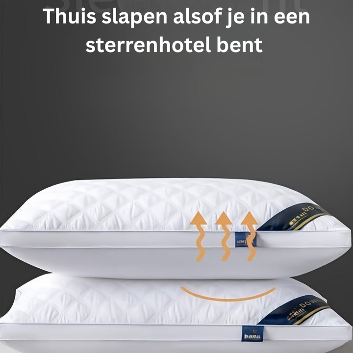 Hotel Comfort Pillow Set - 2 Hypoallergenic 3D Pillows